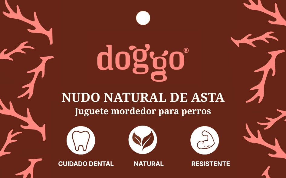 Mordedor para perros Nudo natural de Asta