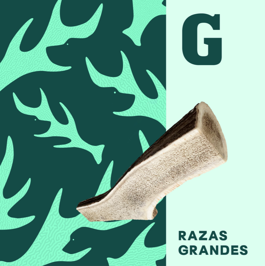 mordedor para perro 100% natural, hecho de astas de ciervo. Cruelty free y sin aditivos, es la opción perfecta para mantener a tu mascota feliz y saludable.