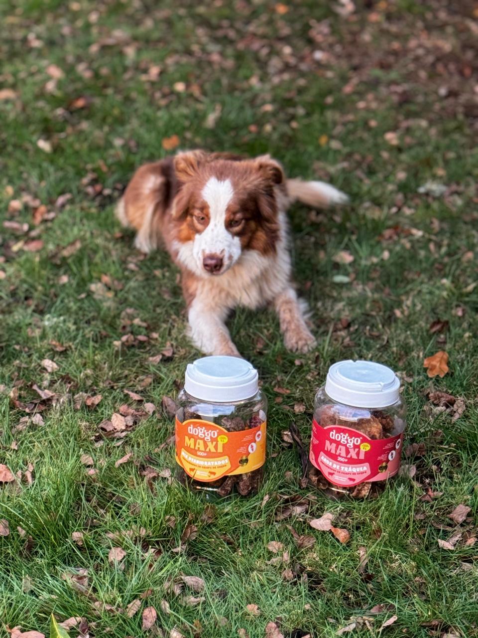 Snack para Perros - Mix de Deshidratados en Crispy de Cerdo