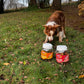 Snack para Perros - Mix de Deshidratados en Crispy de Cerdo