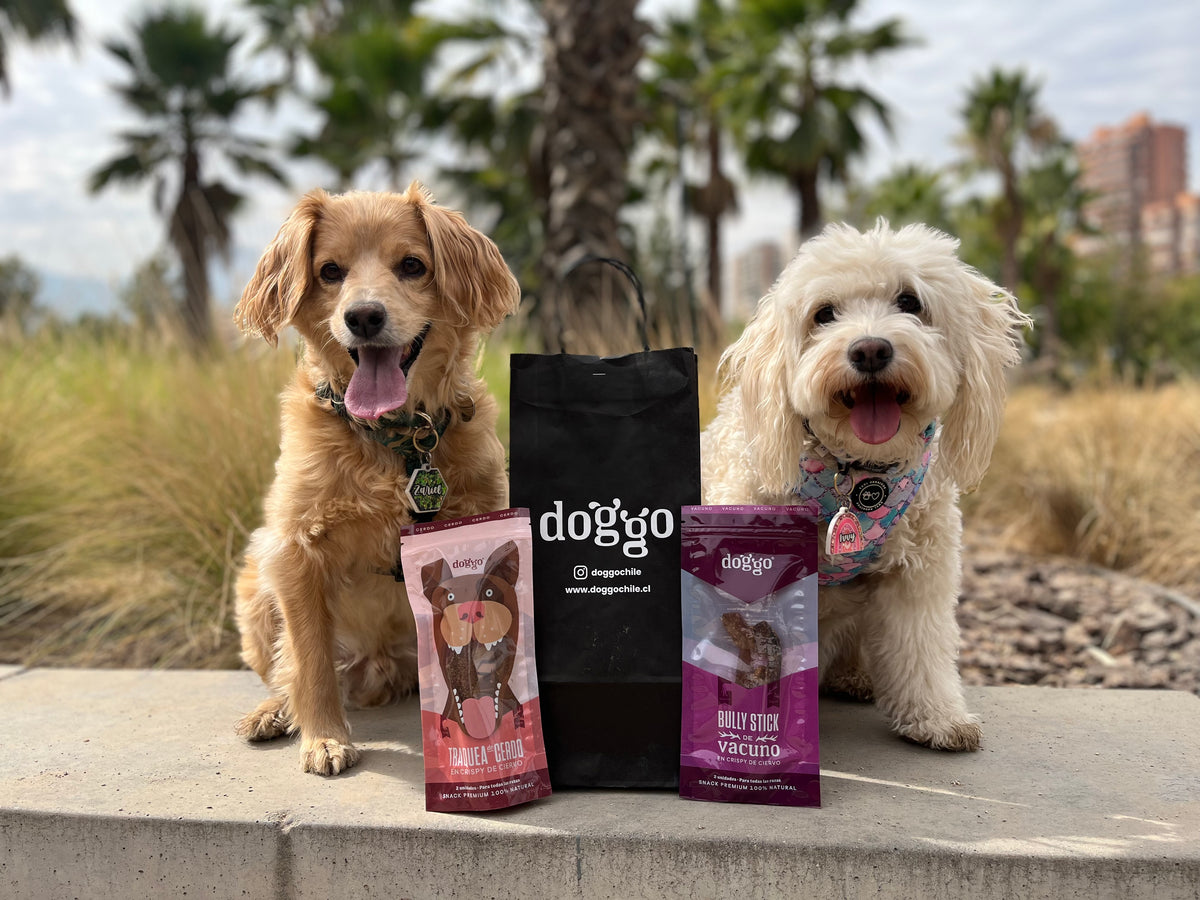Pack Snack para Perros - Asta Pequeña, Bully Stick y Sazonador